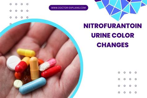 Does nitrofurantoin make you urinate more - Last updated on Mar 22, 2023. Uses Warnings Before taking Side effects Dosage Interactions FAQ What is nitrofurantoin? Nitrofurantoin is an antibiotic that fights …